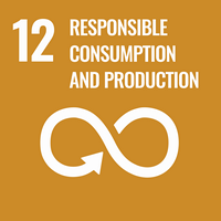 sustainable goals icon responsible consumption and production